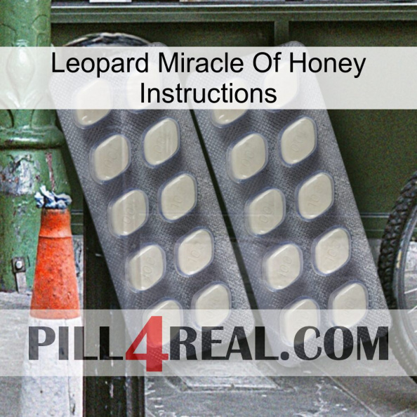 Leopard Miracle Of Honey Instructions 07.jpg